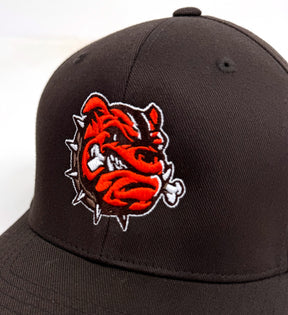 Brown Dawg FlexFit Hat